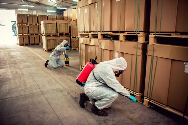 Best Mosquito Control Services  in Roaming Shores, OH