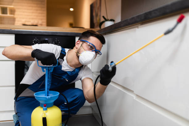 Best Mosquito Control Services  in Roaming Shores, OH