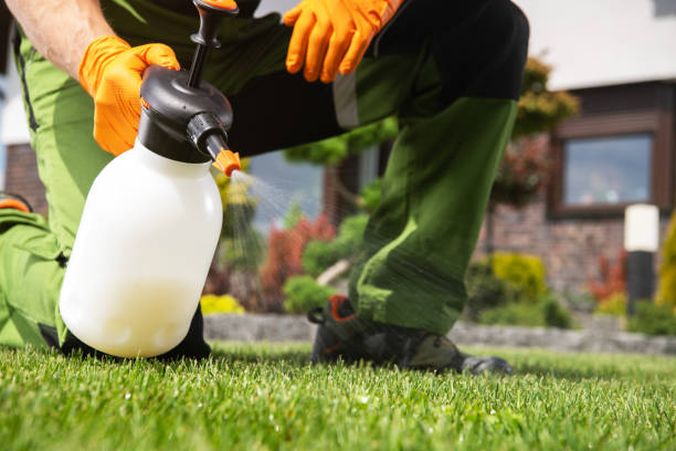 Best Pest Removal Services  in Roaming Shores, OH