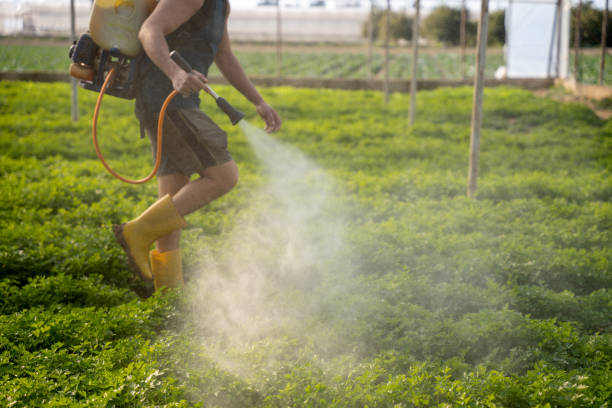 Best Affordable Pest Control Services  in Roaming Shores, OH