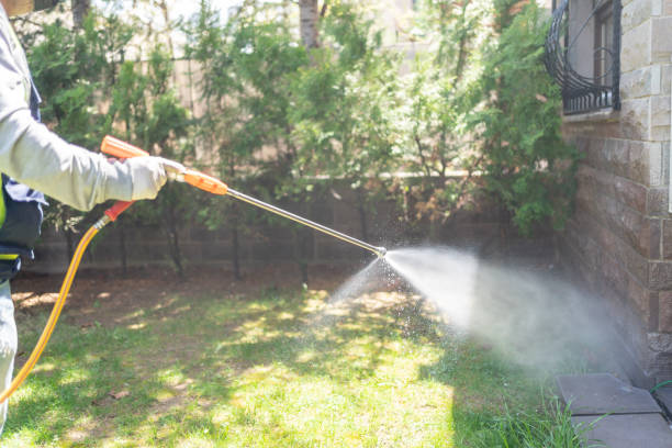 Reliable Roaming Shores, OH Pest Control Solutions
