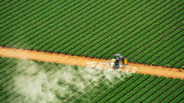 Best Ant Control Services  in Roaming Shores, OH