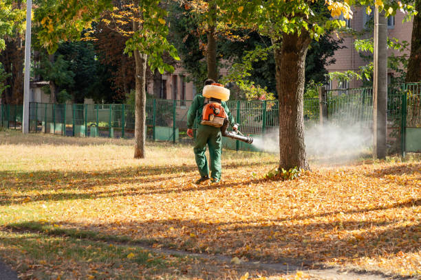 Best Termite Control Services  in Roaming Shores, OH