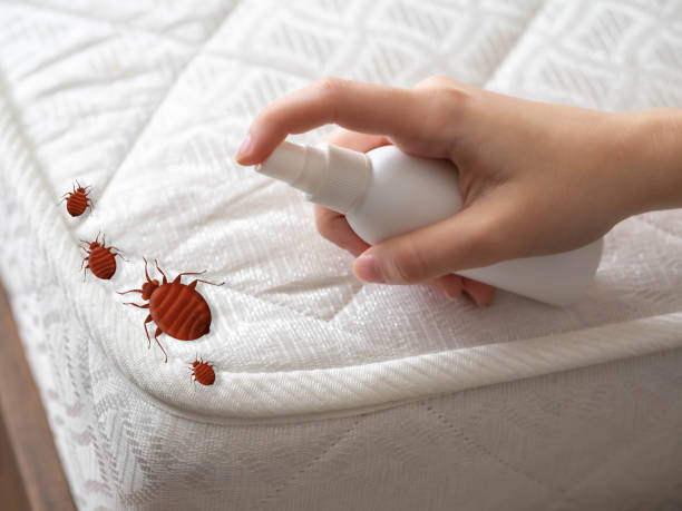 Best Pest Control Near Me  in Roaming Shores, OH
