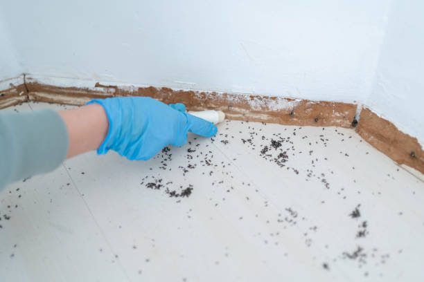  Roaming Shores, OH Pest Control Pros