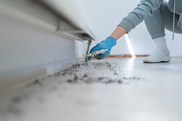 Best Emergency Pest Control  in Roaming Shores, OH